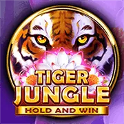 Baccarat trực tuyến 33vin nổ hũ