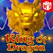 Điền thông tin đăng ký 33vin